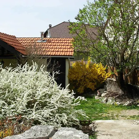 D'hotes 